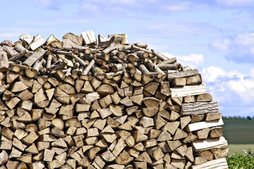 Firewood in Nature - Wood