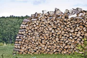 Firewood in Nature - Wood - obrazy, fototapety, plakaty