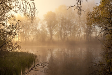 serene misty morning on a lakeside