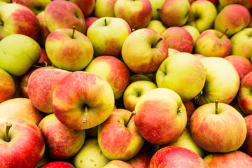 Fototapeta na wymiar Heap of apples from close