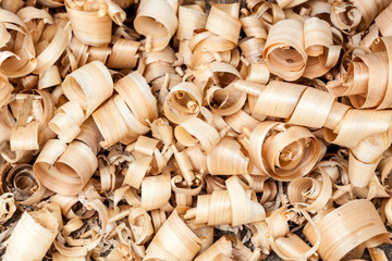 Background of wood shavings