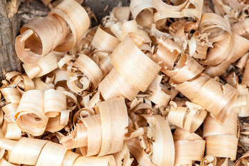 Background of wood shavings