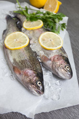 Frische Forelle mit Limone