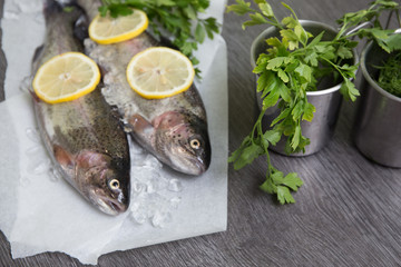 Frische Forelle mit Lemon