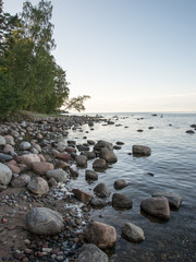 rocky beach in the baltic sea