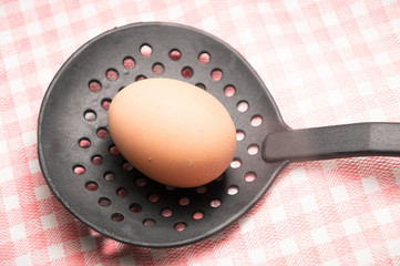 black skimmer with an egg