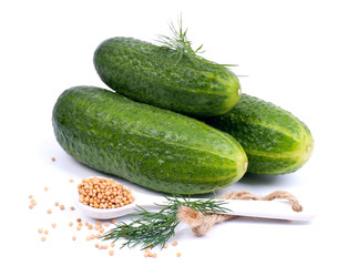Frische Einlegegurken