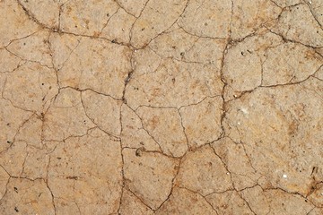 dry and cracked land