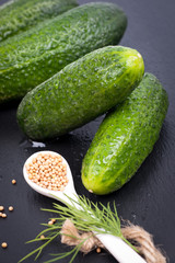 Frische Einlegegurken