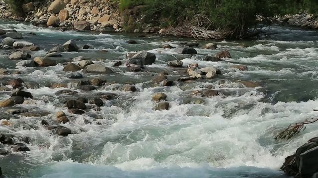Rio Ara river in the Torla in Valle de Ordesa valley Pyrenees 