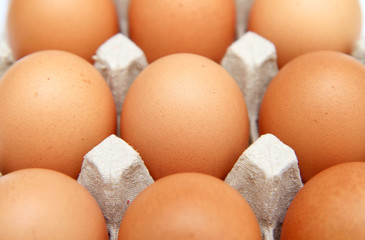 Eggs in paper container