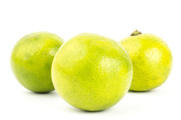 Lime