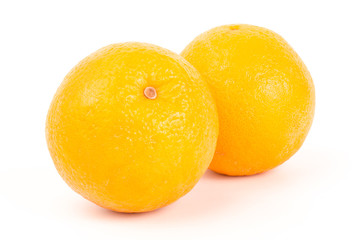 Navel orange fruit