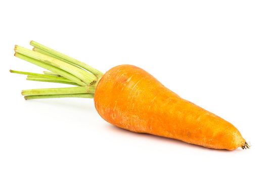 Carrot © nungning20