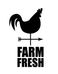 Fototapeta na wymiar farm fresh design