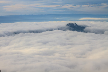 sea of fog with forests as foreground