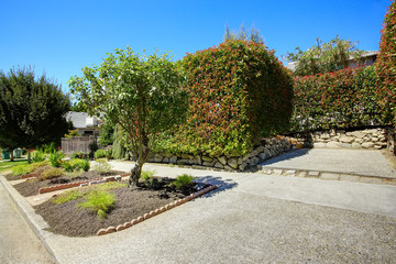 Front yard design with trimmed hedges and walkway