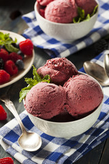 Homemade Organic Berry Sorbet Ice Cream