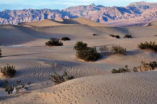 View of Death Valley National Park, California USA