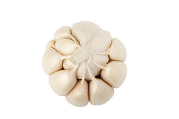Garlic head and cloves