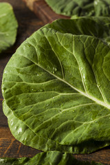 Raw Organic Green Collard Greens