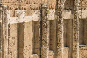 Columns from Trajan's marketplace