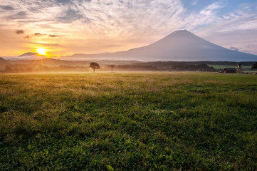 Fototapeta premium Mt Fuji