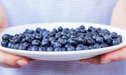 plate with blueberries in hand, horizontally