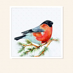 watercolor card with a bird