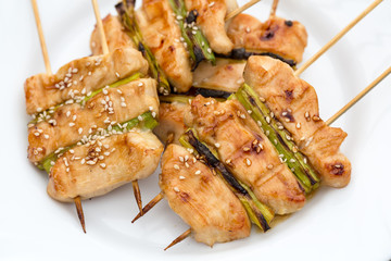 barbecue with delicious grilled meat and leek