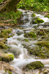 Fototapeta na wymiar Stream of Water in Plitvice Lakes National Park