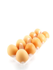 eggs packed isolated white background