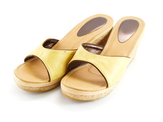 casual female shoes on white background