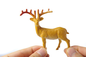 鹿を持っている手