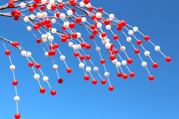 Obraz premium 浅草 仲見世通り