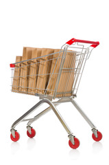 Shopping cart with supermarket basket