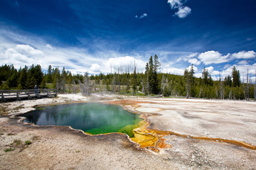 USA - Yellowstone NP - 69800474