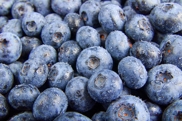 Fresh blueberries