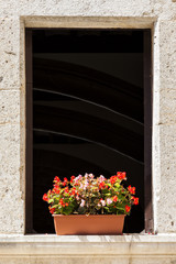 Window box with flowers