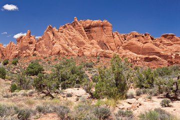 Fototapeta premium USA - Arches national park