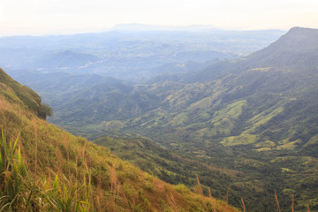 Naklejka premium green mountains and forest on top veiw
