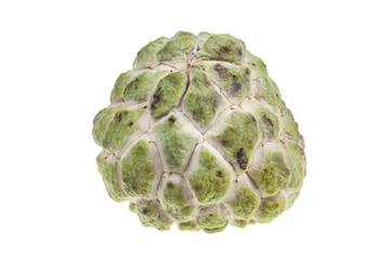 Annona fruit