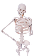 Skeleton smoking cigarette isolated on white