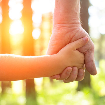 Close-up hands, an adult holding a child's hand.