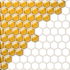 Glass cells yellow white. Isolated