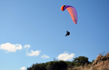 Drachenflieger