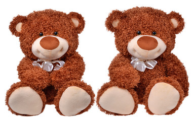 Two brown teddy bears
