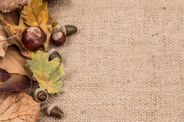 autumn background