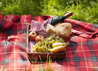 Picnic. Light brown style