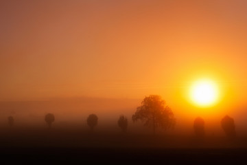 Misty morning